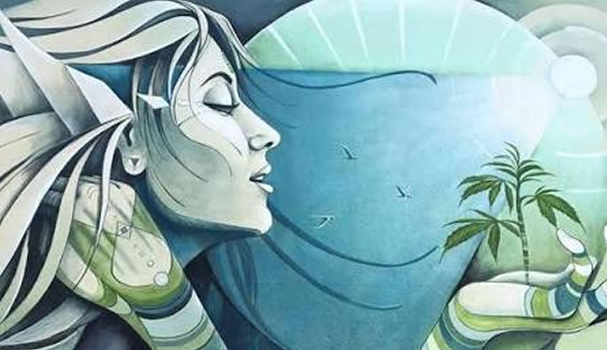 Finding a Dispensary Near Venice Beach
