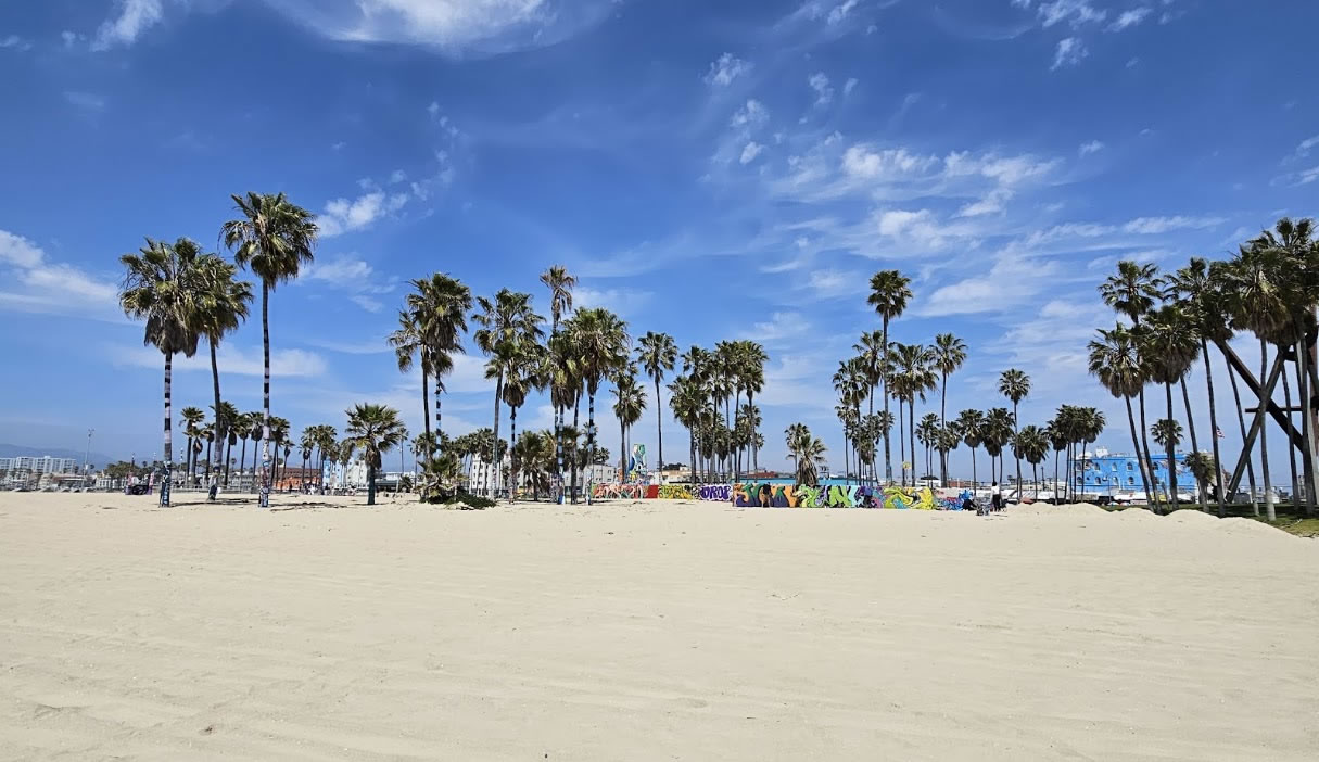 Where Can You Legally Consume Cannabis in Venice?